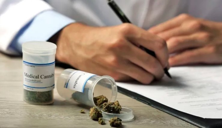 Delaware Medical Cannabis Reform