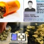 Florida’s Cannabis Conundrum: DeSantis’ Stance Against November Ballot Legalization