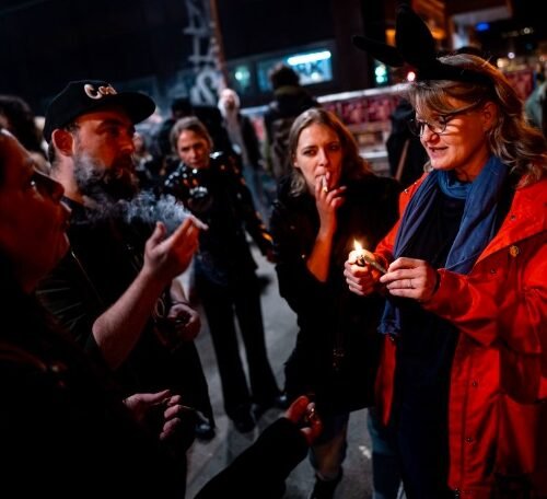 Germany Embraces a New Era of Cannabis Freedom