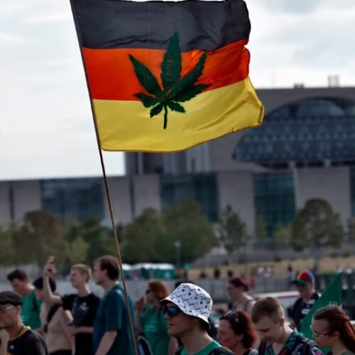 A New Leaf: Germany’s Historic Cannabis Legislation