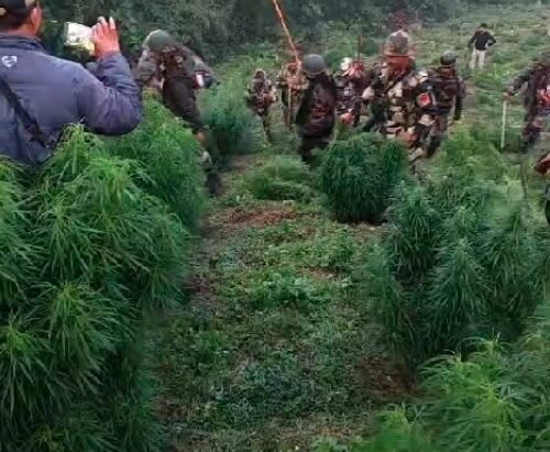 Mataram’s Decisive Action Against Drug Trafficking