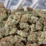 New Mexico cannabis federal seizure