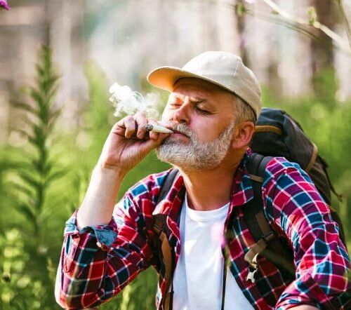 Unveiling the Shield: Recreational Cannabis and Cognitive Fortitude