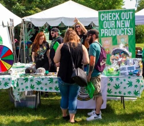 Traverse City’s Green Rush: A Year in Review