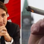 Trudeau Cannabis Legalization