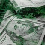 Banking on Change: The Marijuana Banking Bill and Its Judicial Implications