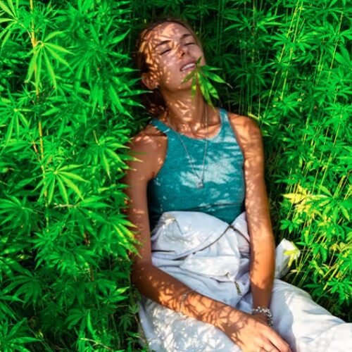The Hidden Perils of Pot: Unmasking Cannabis-Induced Psychosis