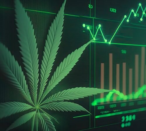 Pioneering Insights: April 2024’s Cannabis Webinar Highlights