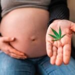 prenatal cannabis exposure child neurodevelopment