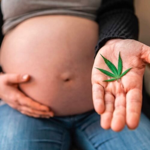 Prenatal Cannabis Exposure: A Growing Concern for Child Neurodevelopment