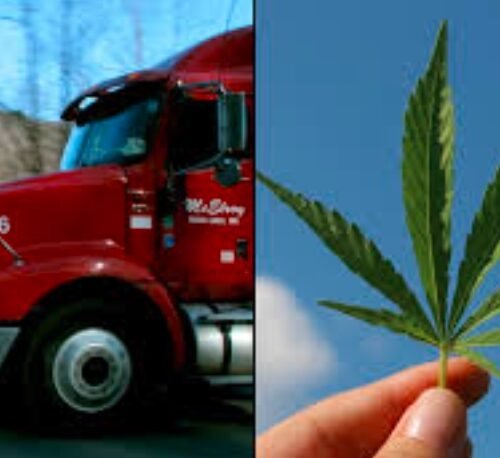 State-by-State Cannabis Transport Restrictions Impact Market Dynamics