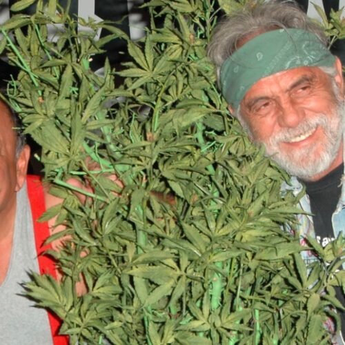 From Comedy to Cannabis: Cheech and Chong’s Political Influence in California