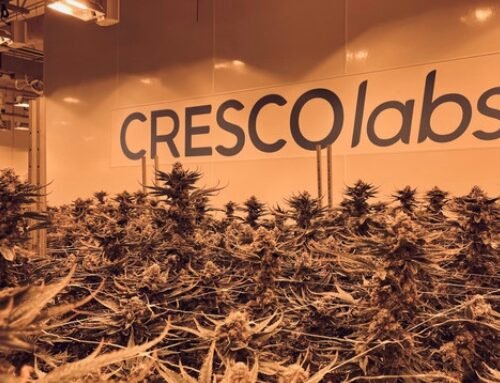 Cresco Labs: Poised for Growth as States Eye Full Legalization