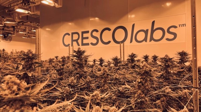 Cresco Labs cannabis expansion