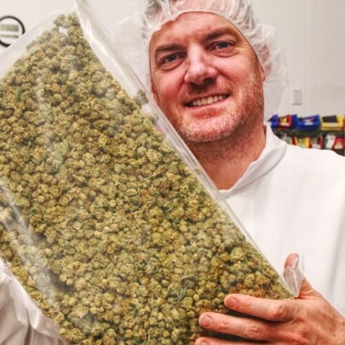 Organigram Invests in Sanity Group: Strengthening European Access to the German Cannabis Market