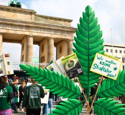 Navigating New Norms: Germany Sets THC Limits for Drivers