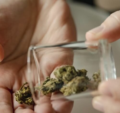 Brazil’s Supreme Court Decriminalizes Personal Marijuana Possession: A Step Toward Prison Reform