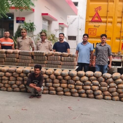 Noida’s Major Cannabis Crackdown: A 800kg Haul