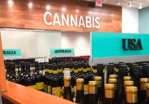 The Green Tide: Nova Scotia’s Surge in Unregulated Cannabis Shops