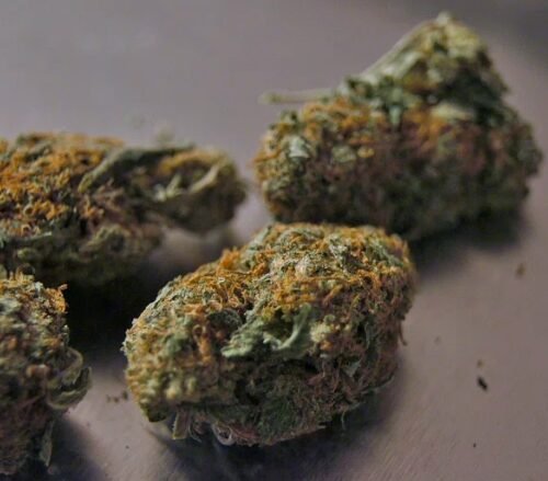 Study Reveals Increase in Cannabis Use Disorder During Pregnancy After Legalization in Canada