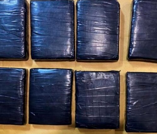 Singapore’s ICA Thwarts Cannabis Smuggling Attempt