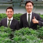 Thailand cannabis regulation change