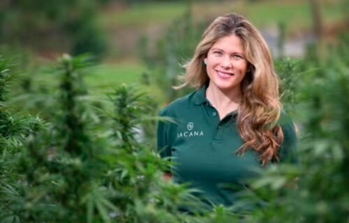 Cannabis Companies Bet on Florida’s Potential Market