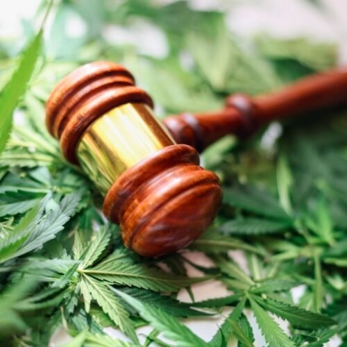 NCAA Removes Cannabis From Banned List