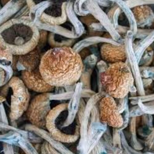 Young Man Caught with Almost €1,000 of Cannabis Was Self-Medicating, Court Told