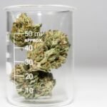 hillviewmed cannabis flower brand launch