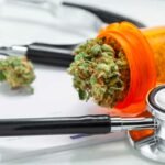 medical cannabis opioid alternative study