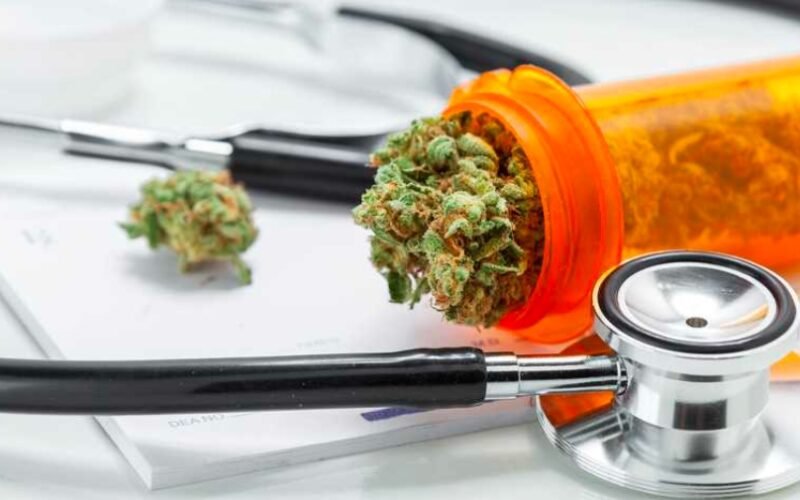 A Shift in Pain Management: Medical Cannabis Use Rises as Prescription Pills Decline