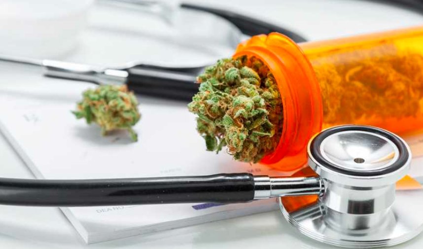 medical cannabis opioid alternative study