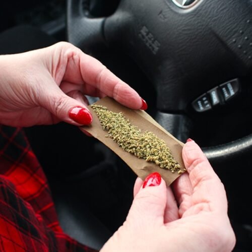 Minnesota Lawmakers Codify Court Ruling on Cannabis Odor Search