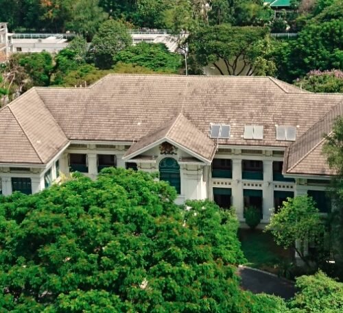 Bangkok’s Green March: Advocates Rally Against Potential Cannabis Ban