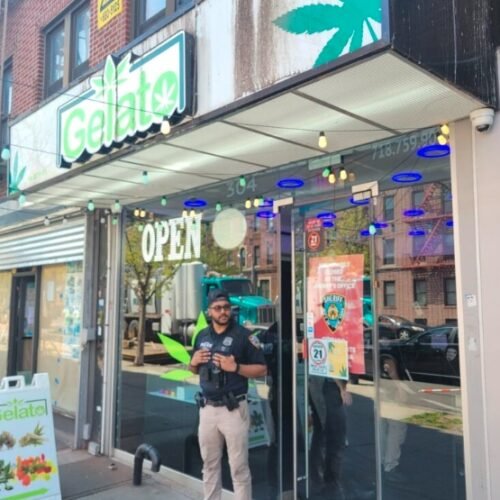 Brooklyn’s Battle Against Unlicensed Cannabis: A Crackdown in Sheepshead Bay