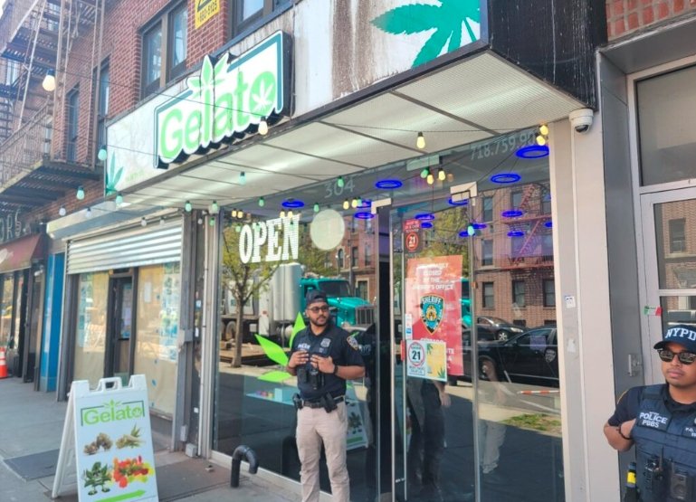 Brooklyn Sheepshead Bay cannabis dispensary raid