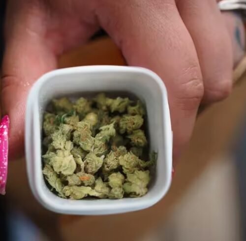 Explore Top Cannabis Deals in 47 New York Cities