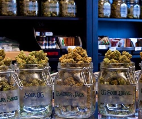 Island Peži: New Adult-Use Recreational Cannabis Dispensary Opens in Prairie Island