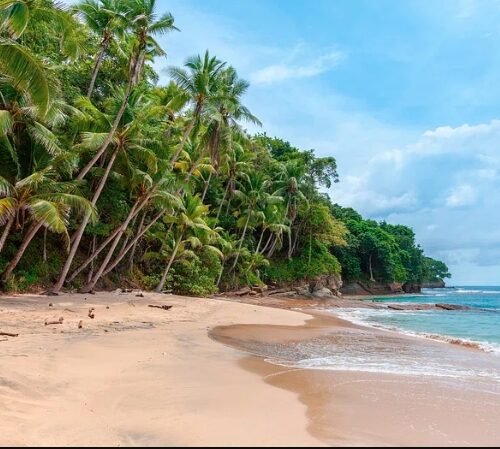 Sunburn Cannabis Opens First Panama City Beach Retail Location