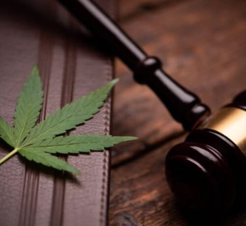 Court Dismisses Lawsuit Challenging Federal Marijuana Laws