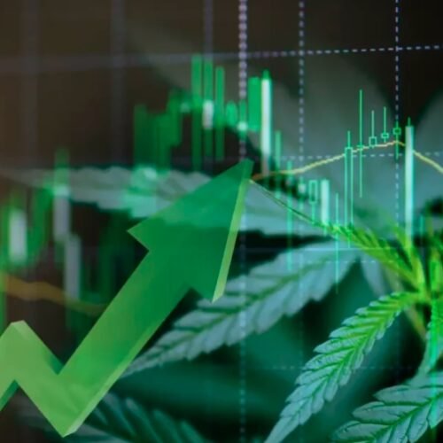 Aurora Cannabis Stock Rises Amid Cost-Cutting Efforts
