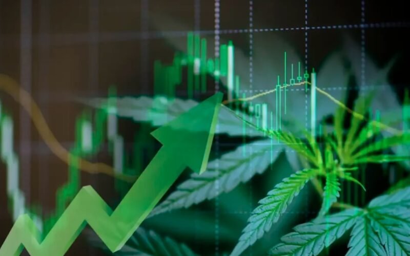 Cannabis leaves and stock market chart