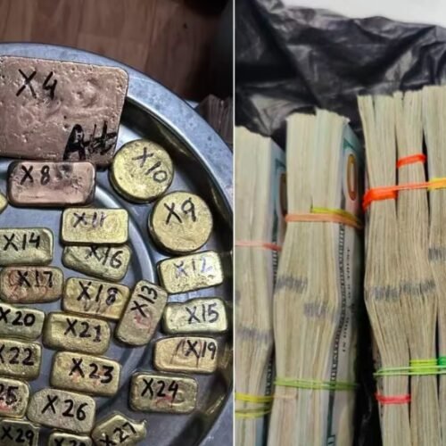 Mumbai’s Major Marijuana Mishap: DRI Intercepts High-Value Hydroponic Weed