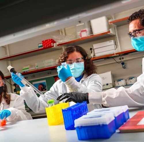 DRI Seizes Cannabis Worth Rs 1.53 Crore in Odisha’s Khurda