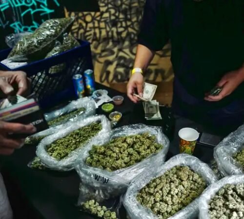 Appeal in Marijuana Case Against Port Huron Gets July 9 Hearing