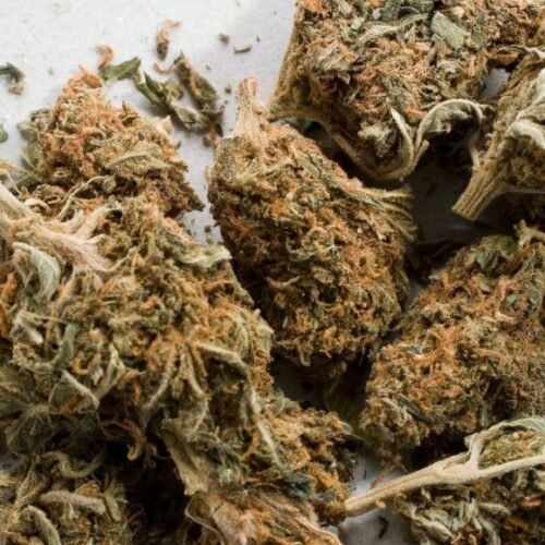 SNDL Acquires Delta 9 Cannabis Debt and Agrees to Buy Indiva