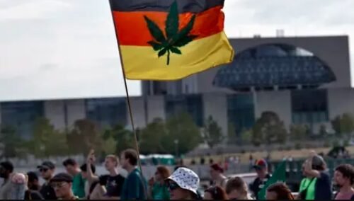 German Cannabis Clubs Face Bureaucratic Challenges