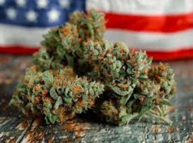 cannabis infused fourth of july celebrations