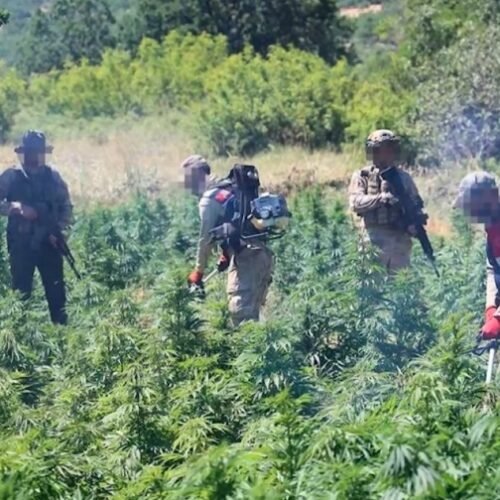 Police Seize Cannabis Plants at UNESCO Heritage Site in Diyarbakır